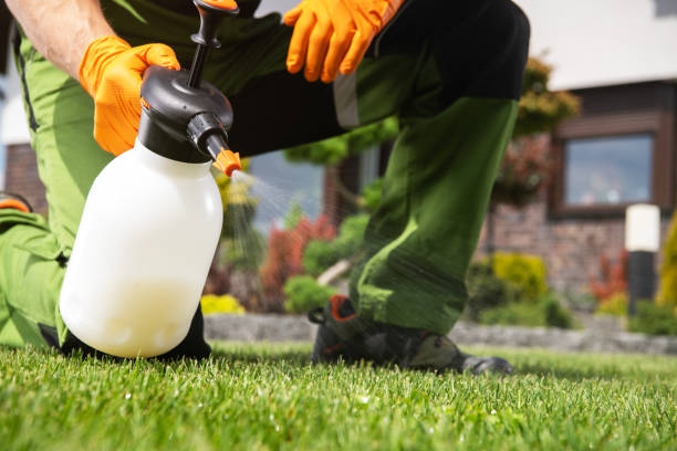 Best Local Pest Control Services  in Emporium, PA