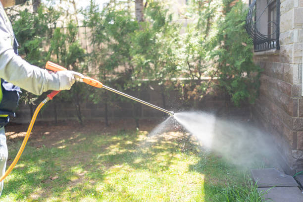 Best Wasp Removal Services  in Emporium, PA