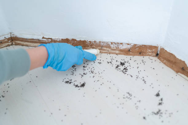 Best Pest Removal Services  in Emporium, PA