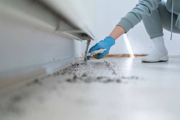 Best Local Pest Control Services  in Emporium, PA